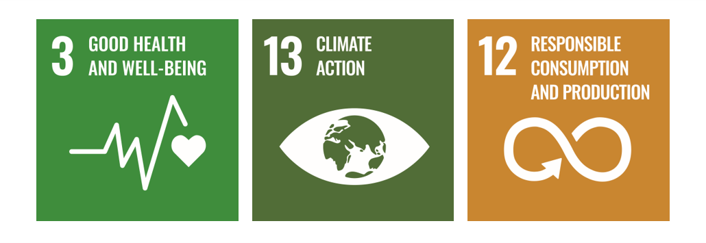 图表显示了联合国可持续发展目标，这是设计更可持续发展方案的关键。